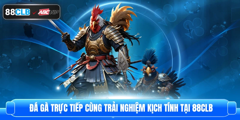 Đá Gà Trực Tiếp Cùng Trải Nghiệm Kịch Tính Tại 88CLB